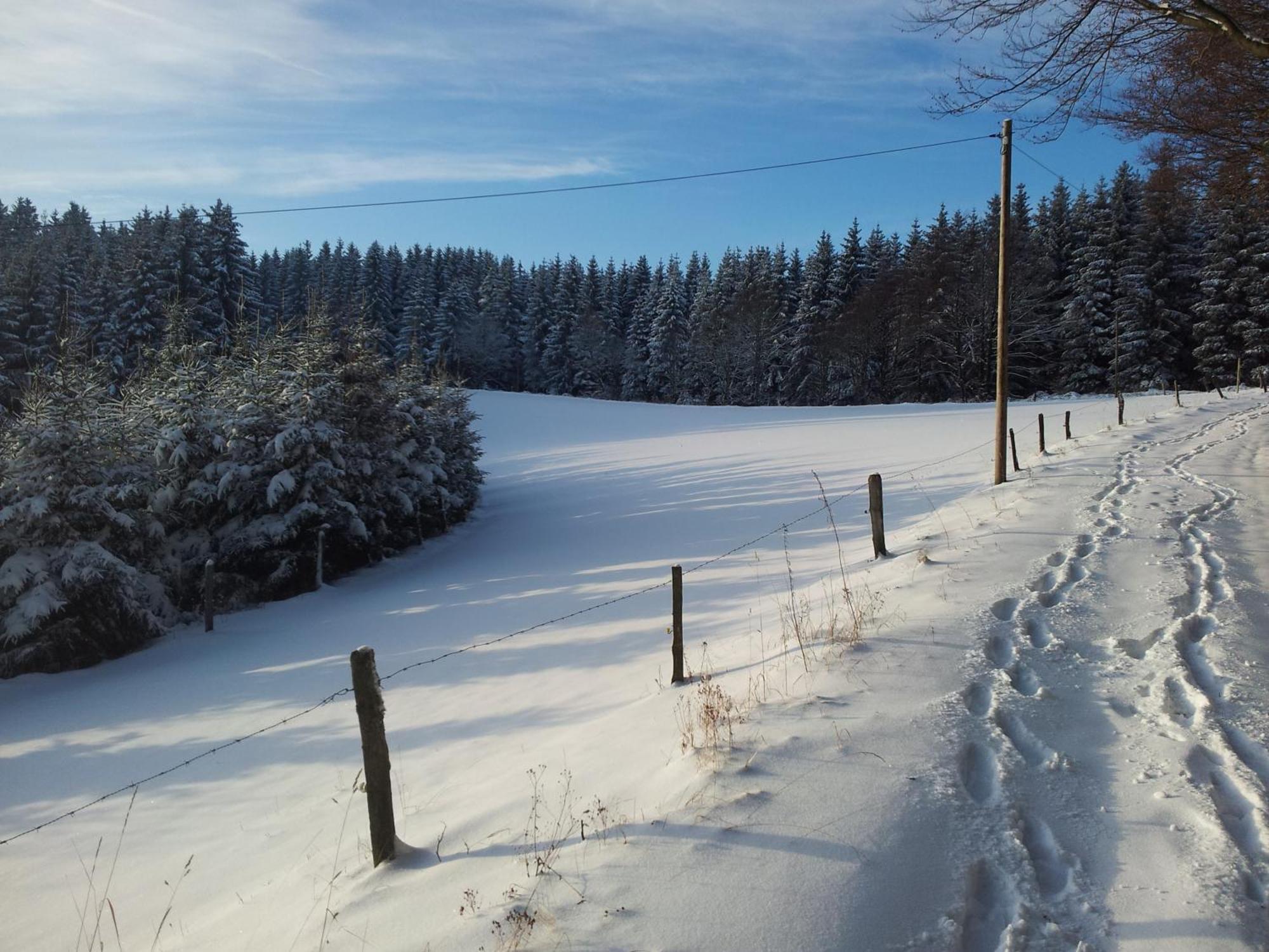 Landgasthof Nesselbach Nordenau Exterior foto